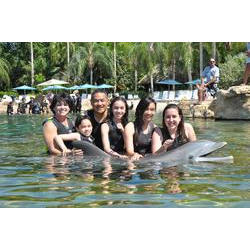 Leungs at Discovery Cove
